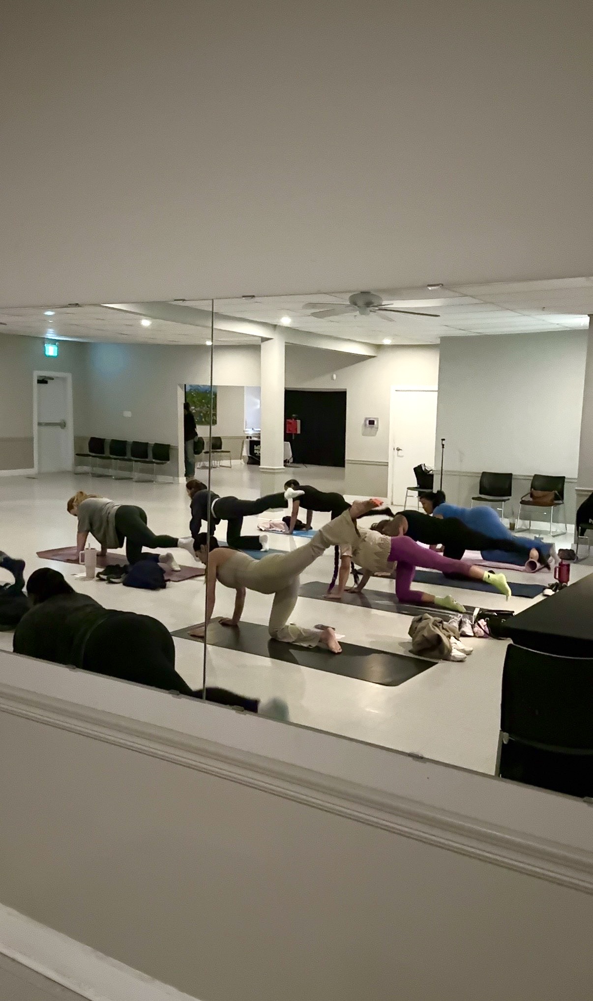 Guests during the guided movement session